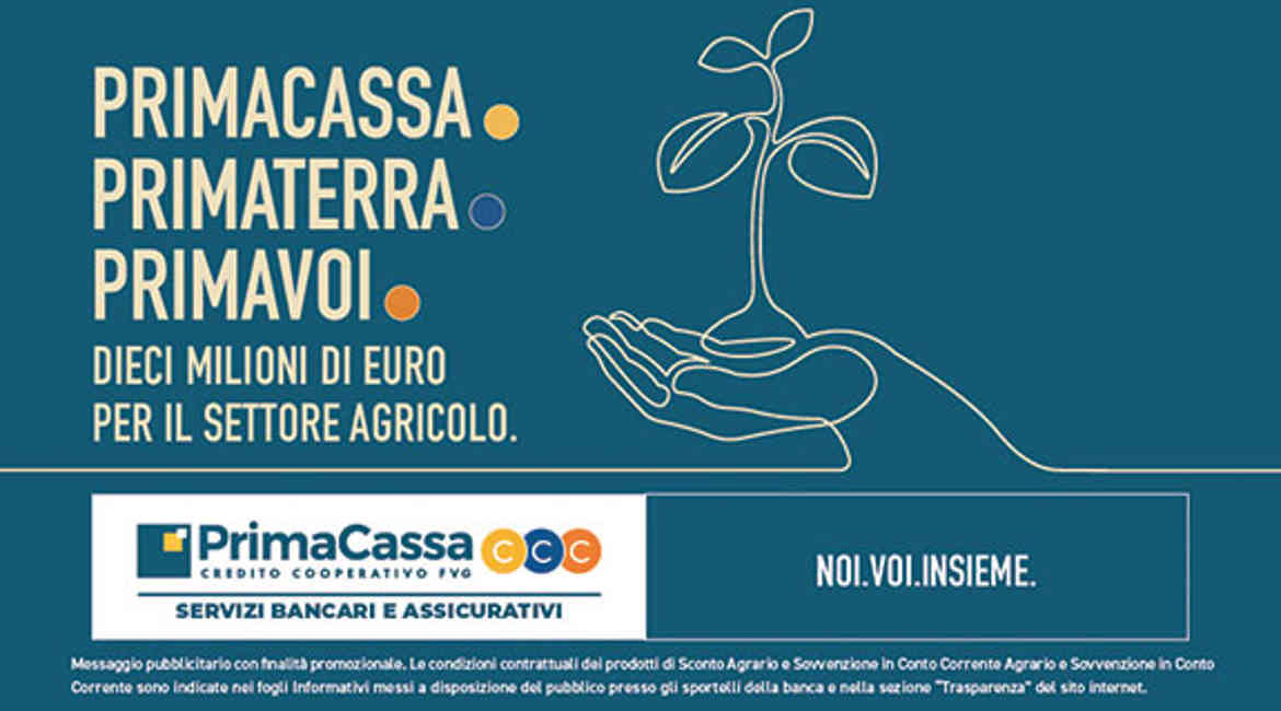 Base News (8)