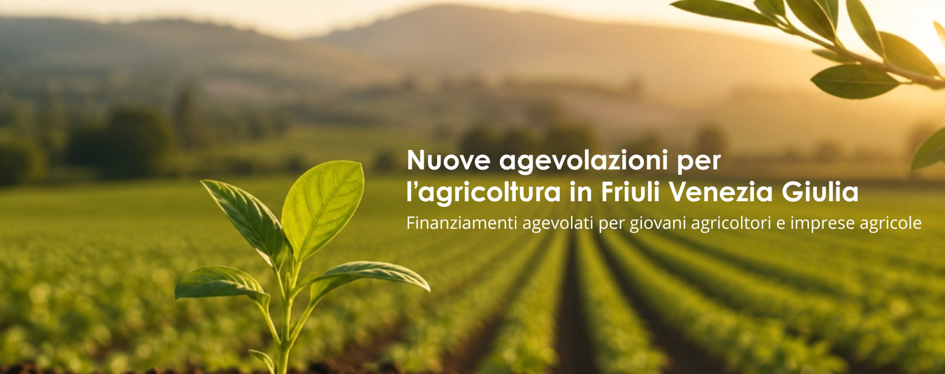 Più opportunità per far crescere la tua impresa agricola 